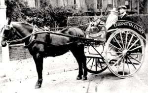 1880 Horse Drawn Dairy Delivery